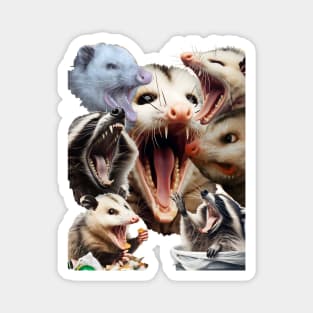 Possums and raccoons Magnet