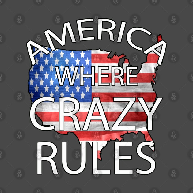 America Where Crazy Rules by Turnersartandcrafts