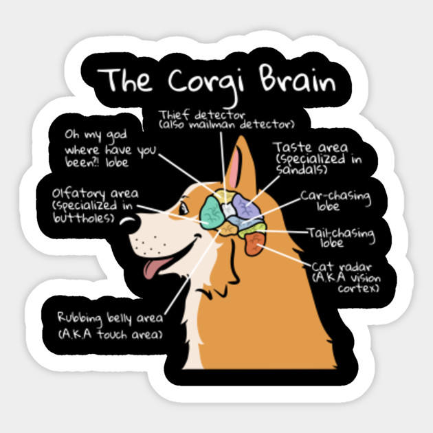 Corgi Car Sticker Fifasteluce Com
