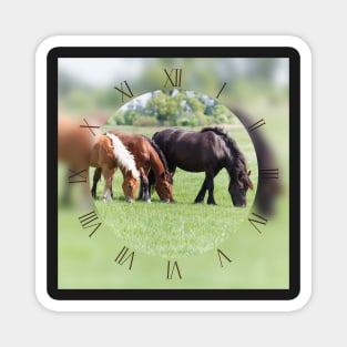 Three horses grazing on pasture Magnet