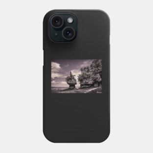 Hopewell Rocks Phone Case