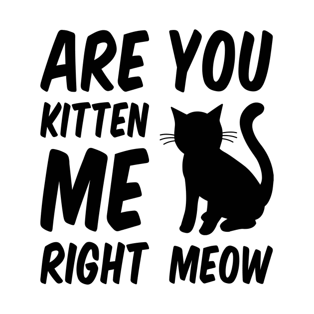 Are You Kitten Me Right Meow by Everydayoutfit