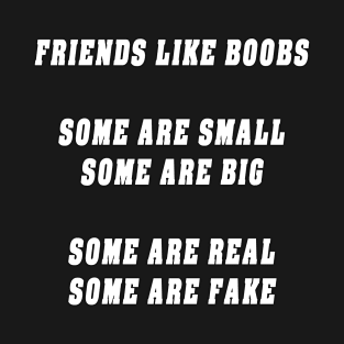 Friends Like Boobs Gift T Shirt T-Shirt