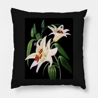 Lillies 99 - Oil painting by Avril Thomas - Adelaide / South Australia Artist Pillow