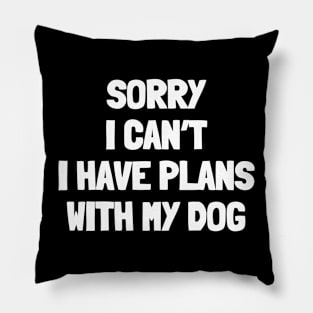 Sorry i can't i have plans with my dog Pillow