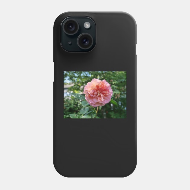 Fragrant Rachel Hybrid Tea Rose Phone Case by fantastic-designs