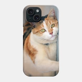 Purrfect Day Phone Case