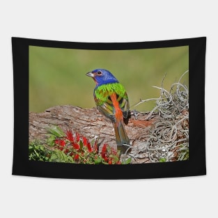 Painted Bunting Bird Photograph Notecard Tapestry