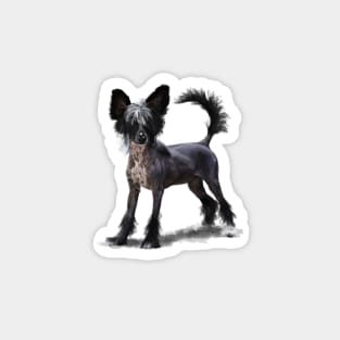 Chinese Crested Dog Magnet