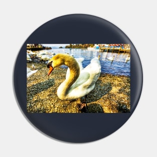 Shy Windermere Swan Pin