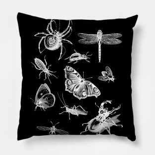 Dramabite Vintage retro scientific bugs insect collection entomologist Pillow