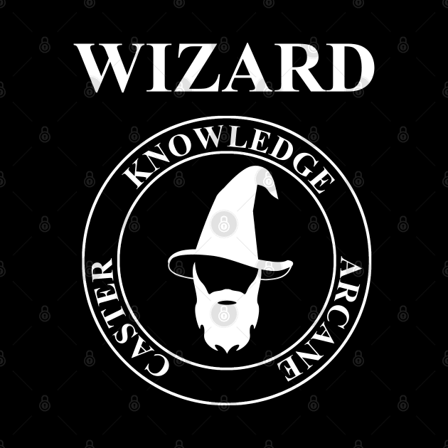 Wizard Fantasy RPG Class Hat and Beard by AgemaApparel