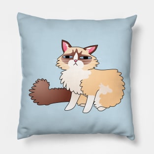 Slightly Suspicious Ragdoll Cat Pillow