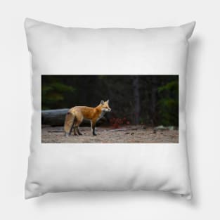 Red Fox Landscape - Algonquin Park, Canada Pillow