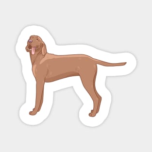 Vizsla Magnet