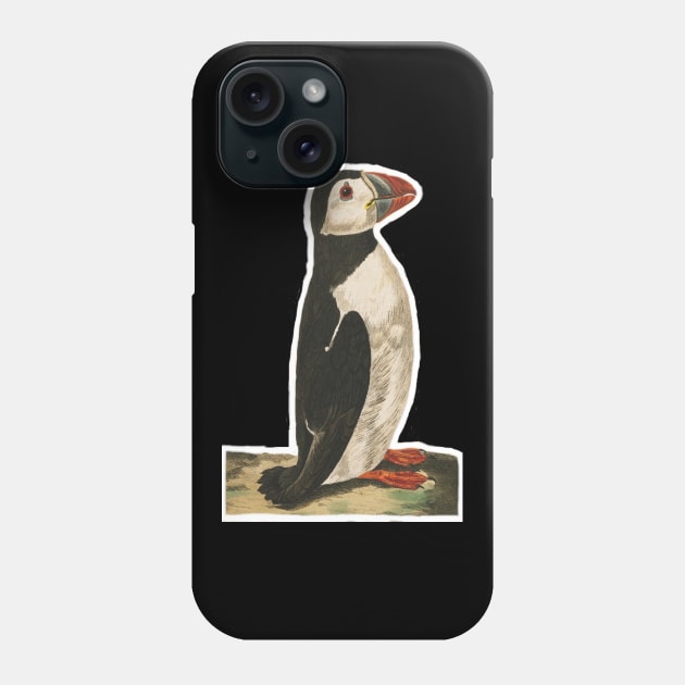 Puffin 01 transparent background Phone Case by kensor