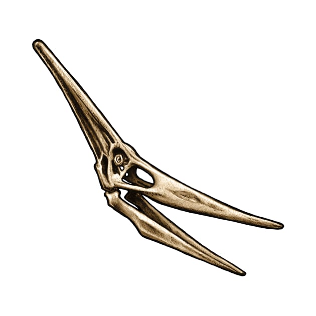 Pteranodon Ingens Skull by CassWArt