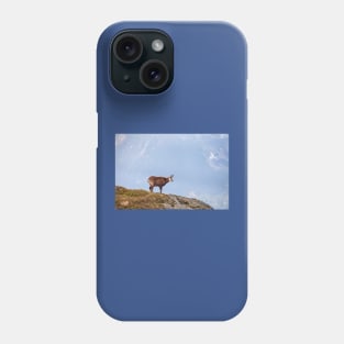 Mountain Chamois in High Tatras National Park Phone Case