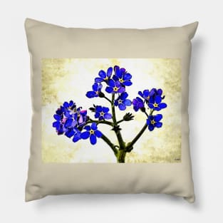 Forget Me Not Pillow