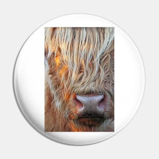 Highland Cow Pin