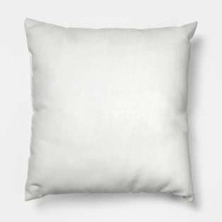 Texas HOME Pillow