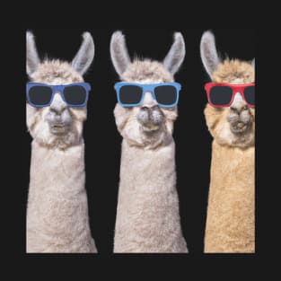 Alpaca Team Colorful Glasses T-Shirt