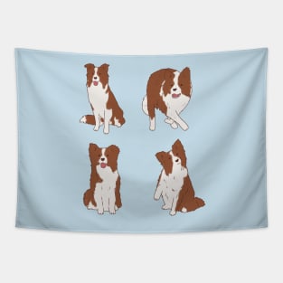 Brown border collie pack Tapestry