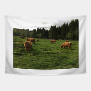 Scottish Highland Cattle Cows 2398 Tapestry