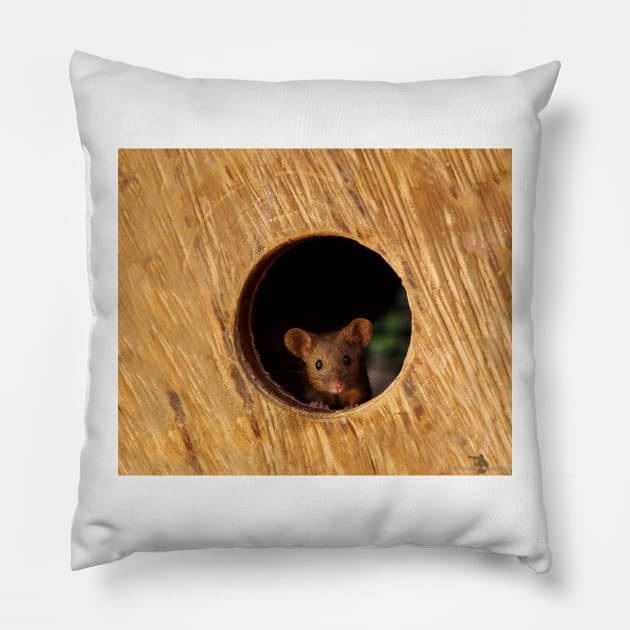 George the mouse in a log pile House mouse in hole Pillow by Simon-dell