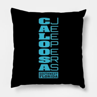 Teal Vertical Logo Pillow