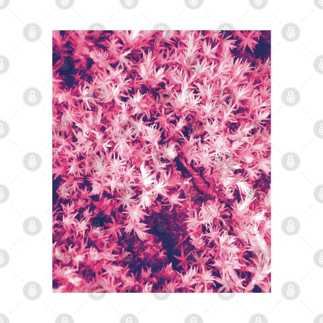 Pink Moss Pattern by Nigh-designs