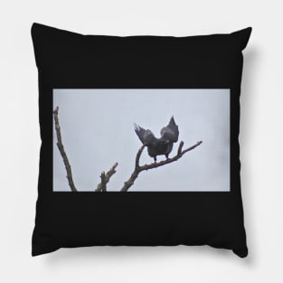 CARRION REGARDLESS..! Pillow