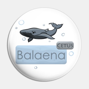 Whale Cetus Balaena Pin