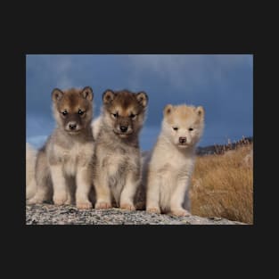 Baby Greenland Dogs T-Shirt