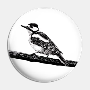 Great spotted woodpecker illustration Pin