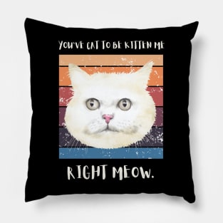 You've got to be kitten me right meow. Pillow