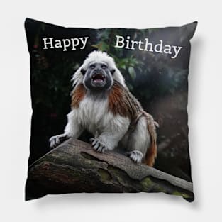 Birthday Monkey Pillow