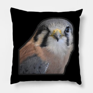 Kestrel Pillow