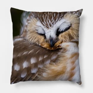 Northern Saw Whet Owl - Ottawa, Canada Pillow