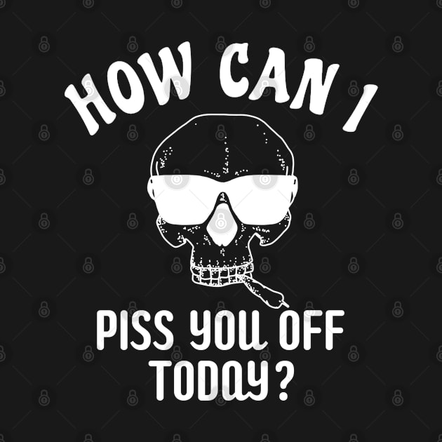 Funny Humor How Can I Piss You Off Today by BuddyandPrecious