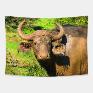 African Wildlife Photography Muddy Buffalo Tapestry