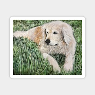 Golden Retriever Magnet