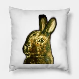 Intriguing Hare Pillow