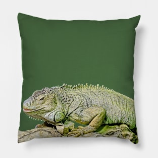 Green Iguana Pillow