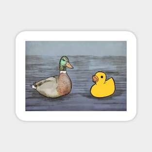 ducks Magnet