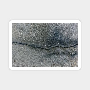 Seaside Rock Texture With Tiny Shells Scattered Across Surface Magnet