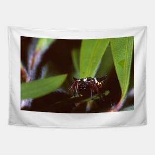 6 Horned Spider Tapestry