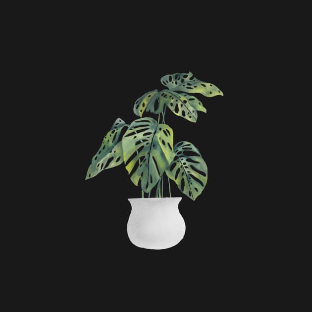 Potted Monstera Plant by gusstvaraonica