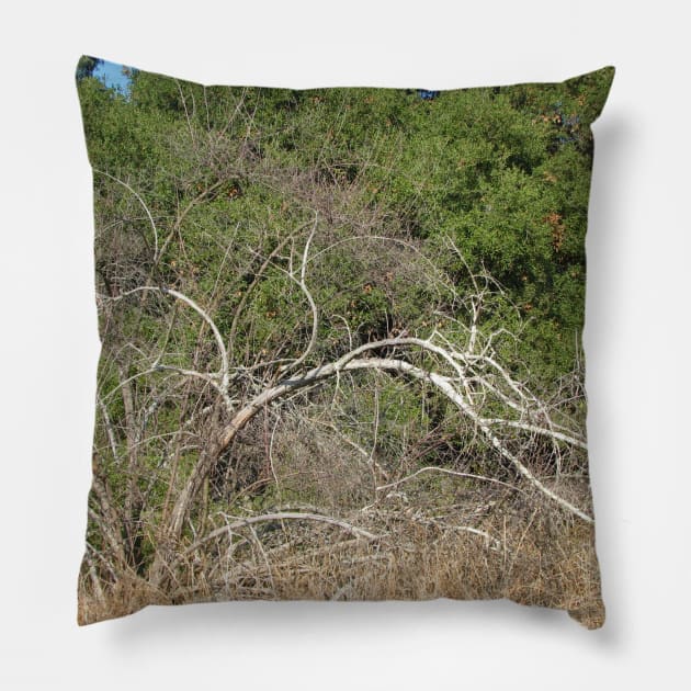 Which way do I grow? Pillow by FriendlyComputerHelp