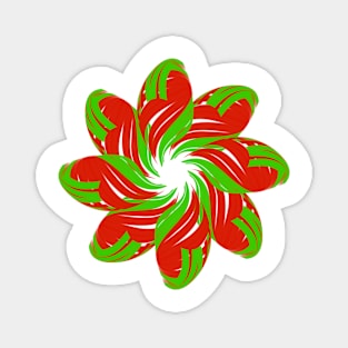 Christmas star Magnet